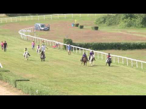 5. 7. 2019 - ponici 1