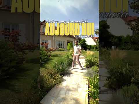 Vidéo immobilière verticale — inspiration Hassen Djemaa