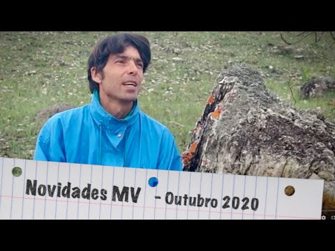 Novidades MV - Outubro 2020
