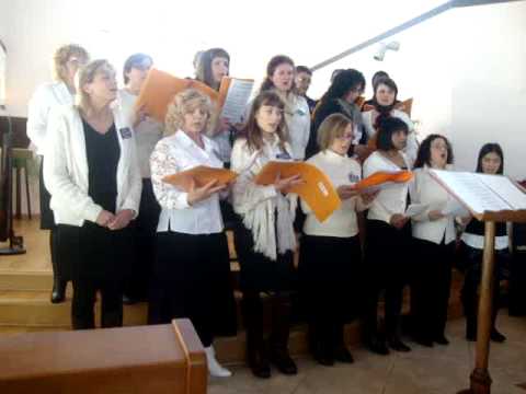 Non temere piccino. 18/12/2010