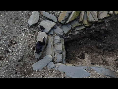 Video thumbnail for Burnt Pictures