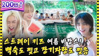 Download lagu [SUB] 예능신이 돕는 스트레이 키즈의 복불복 장기자랑 🕺🏻 | 아이돌 인간극장 mp3