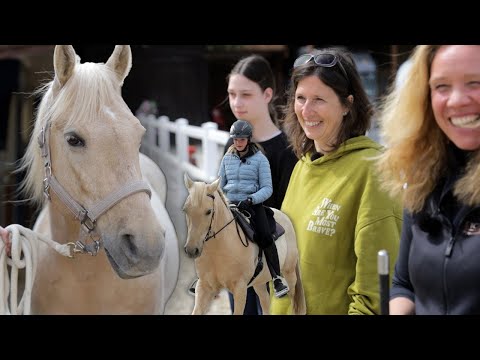 Unglaubliche Verwandlung von diesem Pferd - Pferdebsitzerin erkennt Ihren Wallach nicht wieder