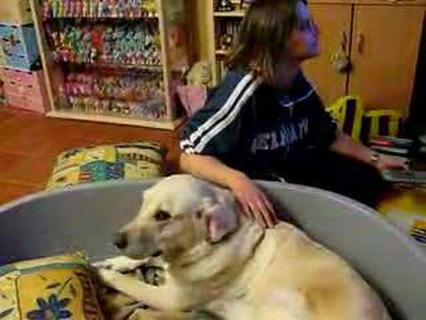 nicht schlecht  aber...