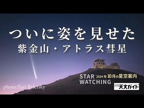 超大型望遠鏡:ボリソフ彗星はこれまで知られていなかった物質を運ぶ可能性がある