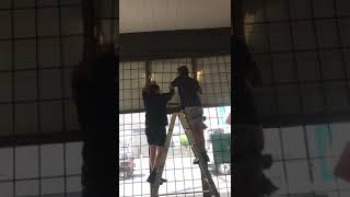 Steel Window Grilles Internally Fitted To Shop Front in Hawthorn