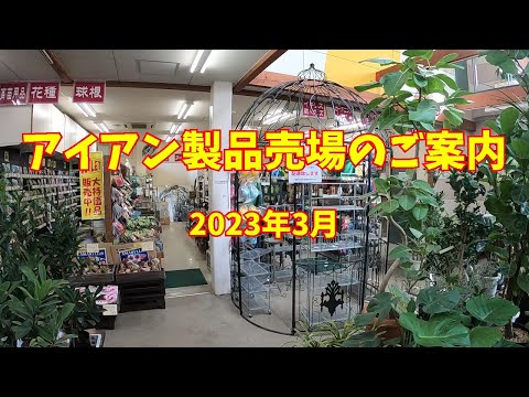 園芸 アイアンツリー、ペルシャパロティア