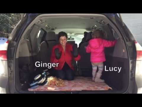 Why My Wife Loves Her 2017 Toyota Sienna Mini-Van: ALL THE SPACE!