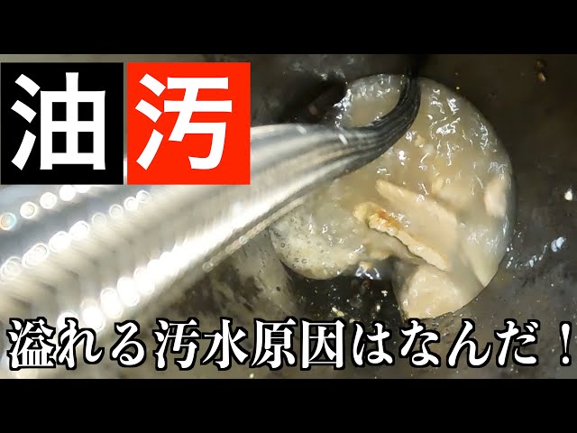 【排水管高圧洗浄】トイレつまり！原因は油！【Drain Unblocking】