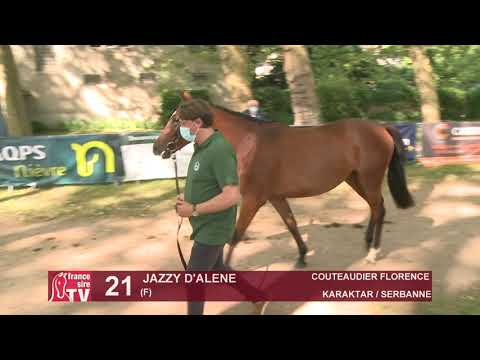 Sprinter Sacré Show 2021 : Lot 21 - Jazzy D'Alene