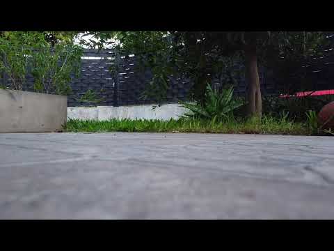 Merlo desde el Aire. Errante Sin Rumbo Live Stream