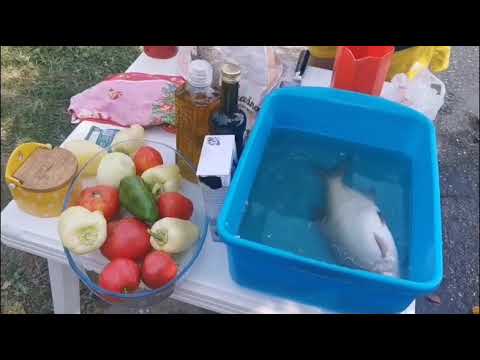 Pržena Deverika..... Filirana Bez Kostiju..... Na Bački Način