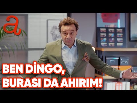Ben Dingo, Burası da Ahırım! - Yaşamak Güzel ŞeY Özel Bölüm