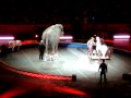 RINGLING BROS 10 MPG