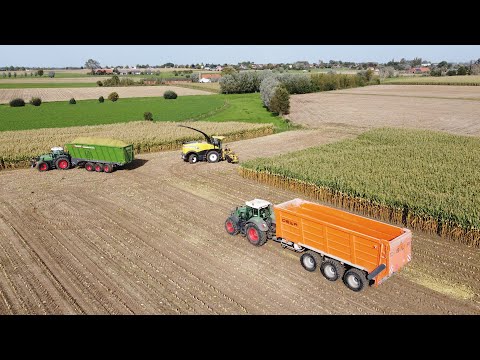 Loonwerken Verplancke - mais hakselen 2023