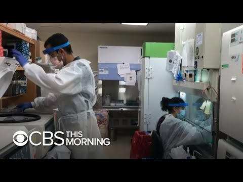 COVID-19 patient offers clues to coronavirus variants' origins