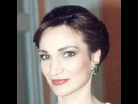 Sve dok je tvoga blagog oka - Danka Stojiljković i TO RTV NS