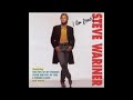 STEVE WARINER - CRASH COURSE IN THE BLUES