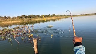 Era pra ser Pescaria de tilápia mais um cardume enorme de tucunaré atacando a isca um atrás do outro