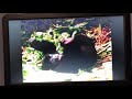 National Geographic Really Wild Animals DVDs Promo