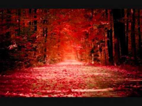 Göksel BAKTAGİR muhayyerkürdi saz semaisi Göksel BAKTAGİR