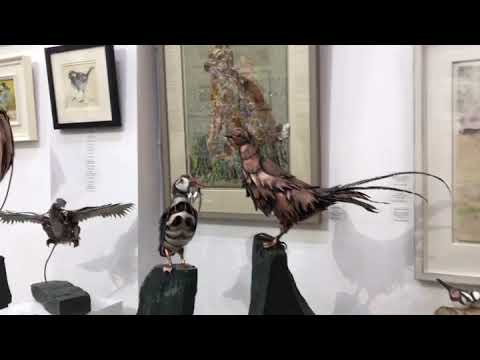 download lagu mp3 mp4 Sota Gallery, download lagu Sota Gallery gratis, unduh video klip Sota Gallery