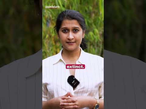 Why do we #celebrate #International #Mother #Language #Day?