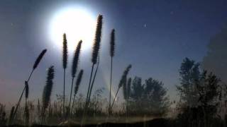 Lesung Vergänglichkeit