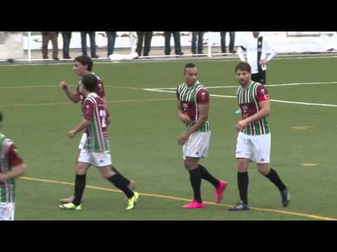 31-01-2016 - GDSC Alvarenga 5 x 0 Mosteirô- Portugal AF Aveiro 2ª Divisão (2ª Parte)