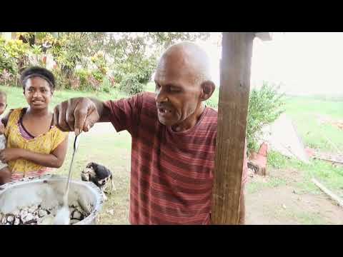 Cooking koroqaqa ba ,FIJI. Tika cook