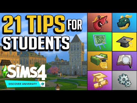 Tips for Students & Attending School: The Sims 4 Discover University Gameplay Guide