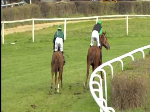 Galopprennbahn Dresden 18.11.2015 - 2.Rennen