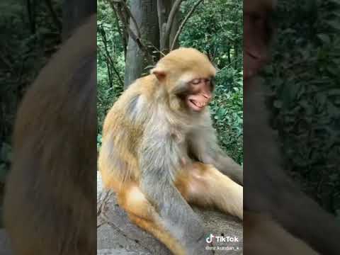 Anath 2 full movie in hindi dubbed 2020 new