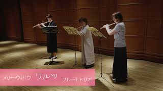Download lagu レハール 喜歌劇【メリーウィドー ワルツ】フルート三重奏／Lehar 【Merry Widow Waltz】Flute Trio mp3