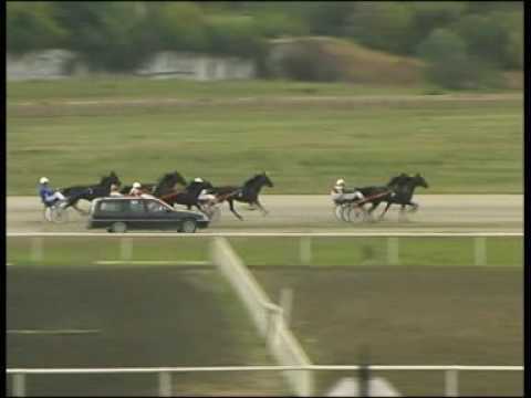 Miodrag Pantic - IMLEKOVA trka