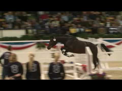 ♥ Connect Me- jumping horse  by Contender