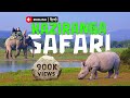 What Happens When You Visit KAZIRANGA NATIONAL PARK On A SAFARI Tour