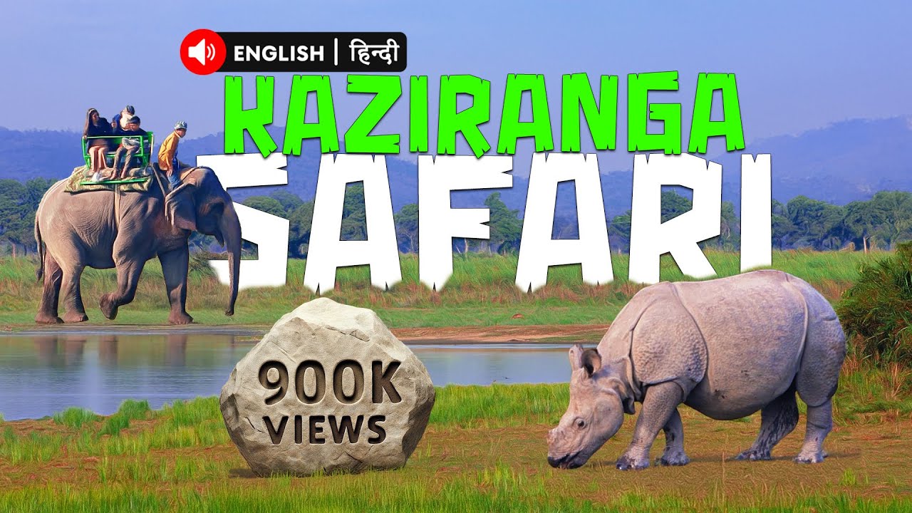 Kaziranga National Park SAFARI Like You've Never Seen Before!  - 4K Video Hindi | हिन्दी