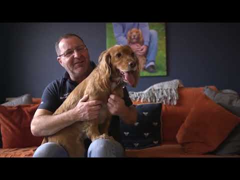 Four Legged Saviours