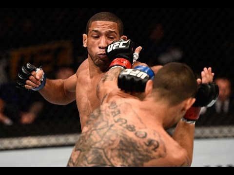 Andre Fili Is Now A Free Agent