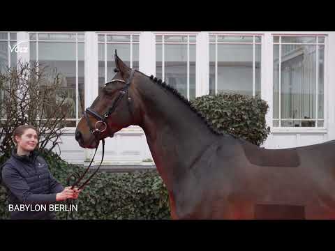 Babylon Berlin (Brantzau / Nabab de Reve / Tinka´s Boy)