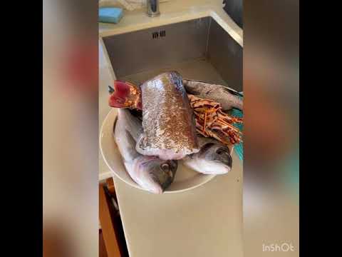 Dalmatinski brudet ! Special Croatian dish “Buzara”! Must cook!