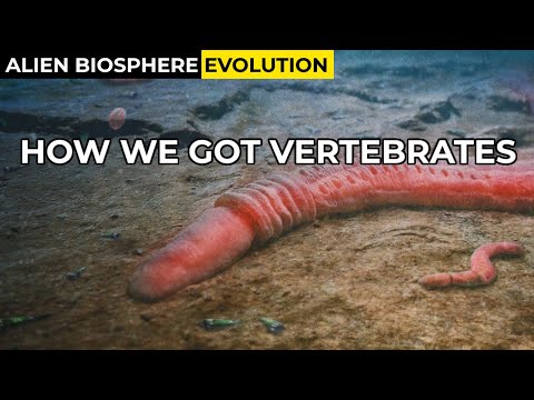 The Vertebrate Recipe | Alien Biosphere Evolution #9