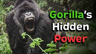 Download lagu What Happens When a Gorilla Uses Its Full Strength mp3 Download lagu What Happens When a Gorilla Uses Its Full Strength mp3
