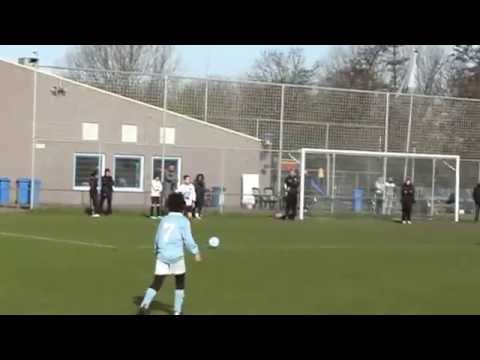 Samenvatting Hermes DVS E2 - Blijdorp E2