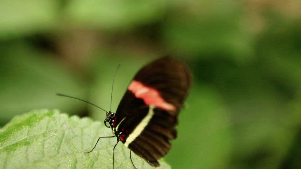 Netsky - No Beginning - Official Video