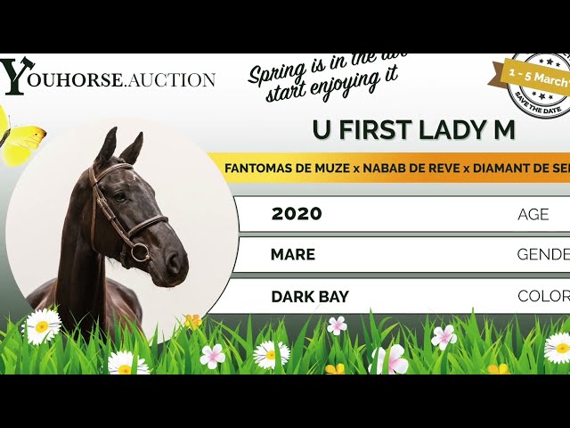 U First Lady loosejumping