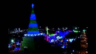 preview picture of video 'Inauguracion arbol de Navidad Gigante en San Diego'