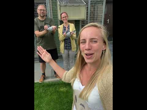 7th and 12th national Argenton 2021 against 9,847 old birds. Patrick VD Abbeel & Ilse V. Paesschen