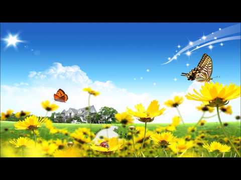 rani zeteoci i braca kovacevic on je svijetlo mog zivotaa